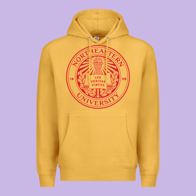 Northeastern University Premium Hoodie Designed By Artisfamous