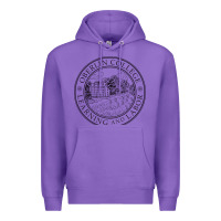 Purple oberlin college, oberlin, oh, Premium Hoodie - artisFamous