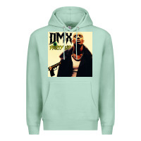 Seafoam dmx Premium Hoodie - artisFamous