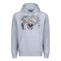 Heather Grey shenandoah Premium Hoodie - artisFamous