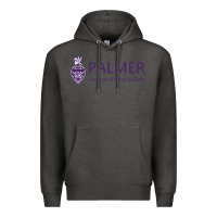 Charcoal Heather Palmer College of Chiropractic Premium Hoodie - artisFamous
