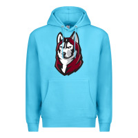 Ocean Blue bloomsburg huskies Premium Hoodie - artisFamous
