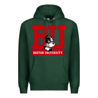 Sports Green boston university terriers Premium Hoodie - artisFamous