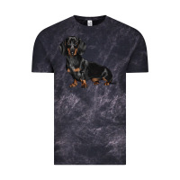 Cloud Black Dachshund Dog Illustrations Vintage Tee - LillyAllenDesigns