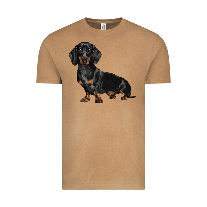 Dachshund Dog Illustrations Vintage Tee by LillyAllenDesigns | Teevron