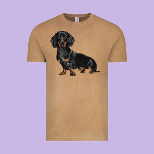 Dachshund Dog Illustrations Vintage Tee Designed By Lillyallendesigns