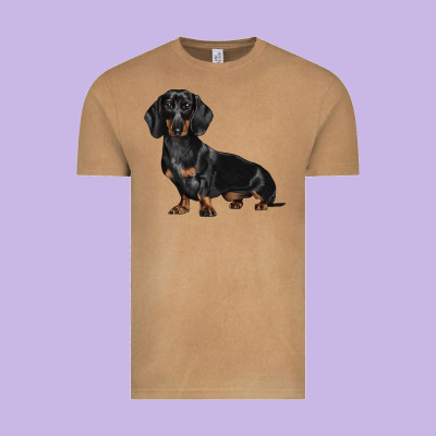 Dachshund Dog Illustrations Vintage Tee Designed By Lillyallendesigns