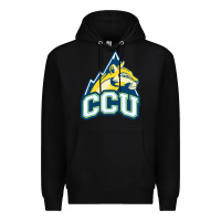 Black colorado christian Premium Hoodie - artisFamous