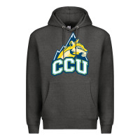 Charcoal Heather colorado christian Premium Hoodie - artisFamous