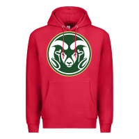 Cardinal colorado state rams Premium Hoodie - artisFamous