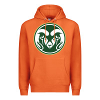 Carrot colorado state rams Premium Hoodie - artisFamous