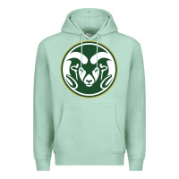 Seafoam colorado state rams Premium Hoodie - artisFamous