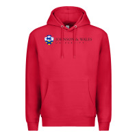Cardinal Johnson & Wales College Art Premium Hoodie - artisFamous