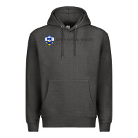 Charcoal Heather Johnson & Wales College Art Premium Hoodie - artisFamous