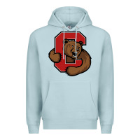 Blue Mist cornell big red Premium Hoodie - artisFamous