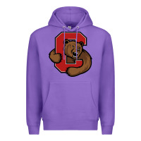 Purple cornell big red Premium Hoodie - artisFamous