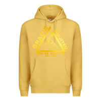 Antique Gold gracie jiu jitsu Premium Hoodie - artisFamous