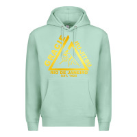 Seafoam gracie jiu jitsu Premium Hoodie - artisFamous