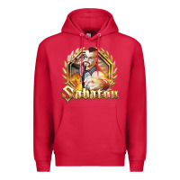 Cardinal sabaton 2 Premium Hoodie - artisFamous