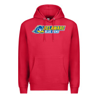 Cardinal delaware fightin' blue hens Premium Hoodie - artisFamous
