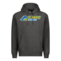 Charcoal Heather delaware fightin' blue hens Premium Hoodie - artisFamous