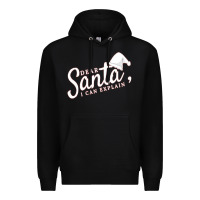Black Dear Santa I Can Explain Premium Hoodie - artisFamous