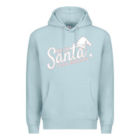 Blue Mist Dear Santa I Can Explain Premium Hoodie - artisFamous