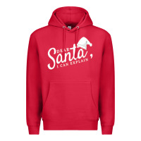 Cardinal Dear Santa I Can Explain Premium Hoodie - artisFamous