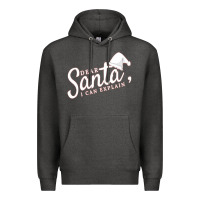 Charcoal Heather Dear Santa I Can Explain Premium Hoodie - artisFamous