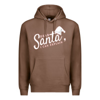 Chestnut Dear Santa I Can Explain Premium Hoodie - artisFamous