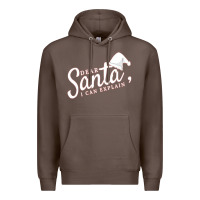 Coffee Dear Santa I Can Explain Premium Hoodie - artisFamous