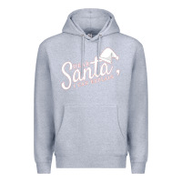 Heather Grey Dear Santa I Can Explain Premium Hoodie - artisFamous