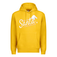 Lemon Dear Santa I Can Explain Premium Hoodie - artisFamous