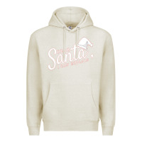 Oatmeal Heather Dear Santa I Can Explain Premium Hoodie - artisFamous
