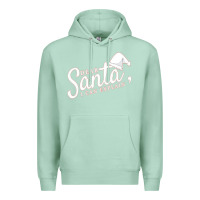 Seafoam Dear Santa I Can Explain Premium Hoodie - artisFamous
