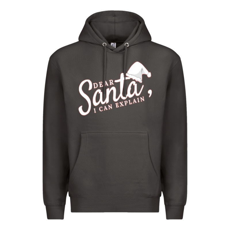 Dear Santa I Can Explain Premium Hoodie by artisFamous | Teevron