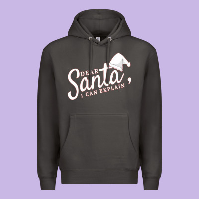 Dear Santa I Can Explain Premium Hoodie Designed By Artisfamous