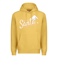 Antique Gold Dear Santa I Can Explain Premium Hoodie - artisFamous