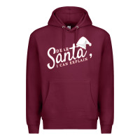 Dear Santa I Can Explain Premium Hoodie | Teevron