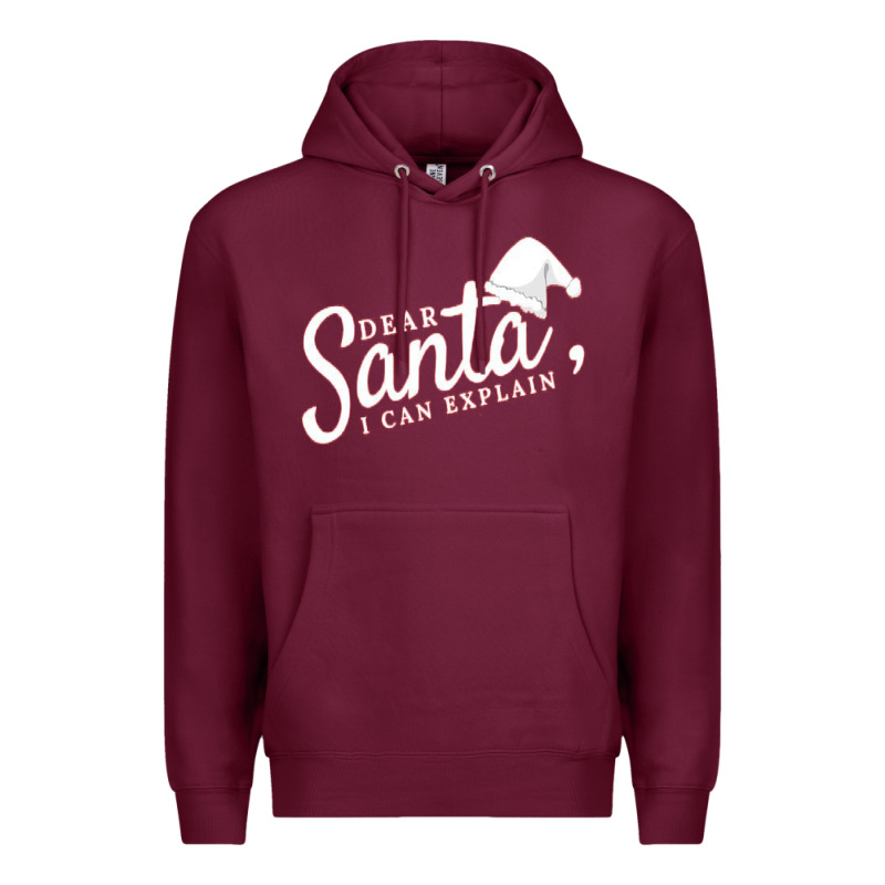 Dear Santa I Can Explain Premium Hoodie by artisFamous | Teevron