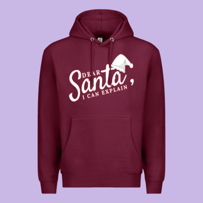 Dear Santa I Can Explain Premium Hoodie Designed By Artisfamous