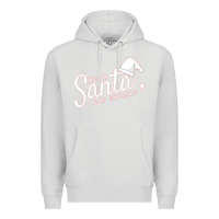 Dove Grey Dear Santa I Can Explain Premium Hoodie - artisFamous