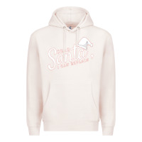 Pale Pink Dear Santa I Can Explain Premium Hoodie - artisFamous