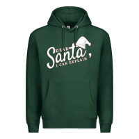 Sports Green Dear Santa I Can Explain Premium Hoodie - artisFamous