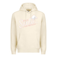 Tofu Dear Santa I Can Explain Premium Hoodie - artisFamous