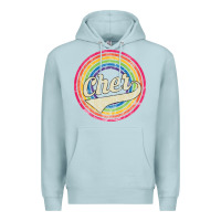 Blue Mist cher Premium Hoodie - artisFamous