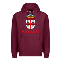 Burgundy brown university Premium Hoodie - artisFamous