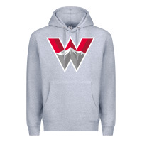 Heather Grey Western Colorado Gift Premium Hoodie - artisFamous