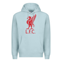 Blue Mist l f c Premium Hoodie - artisFamous
