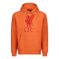 Carrot l f c Premium Hoodie - artisFamous